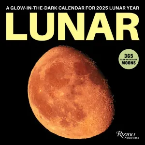 Lunar Year 2025 Wall Calendar