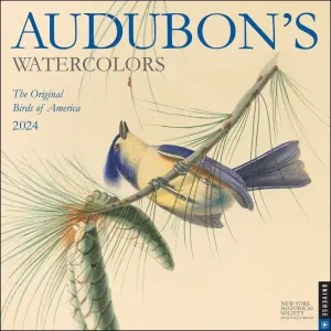Audubons Watercolors 2024 Wall Calendar