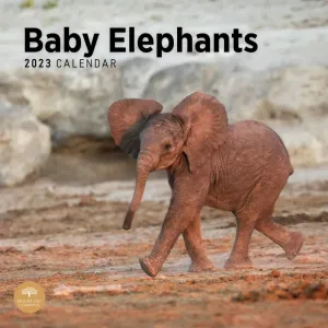 Baby Elephants 2023 Wall Calendar