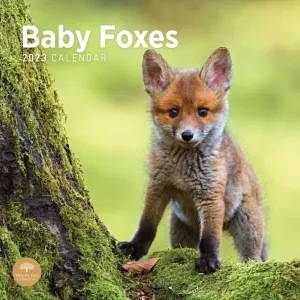 Baby Foxes 2023 Wall Calendar