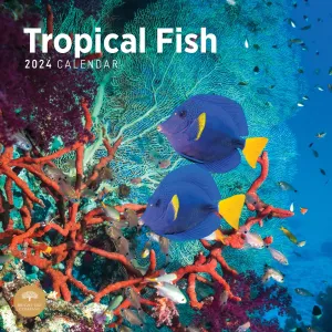 Tropical Fish 2024 Wall Calendar #923041