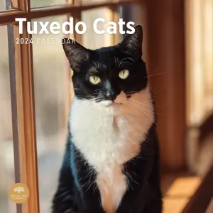 Tuxedo Cats 2024 Wall Calendar #923040