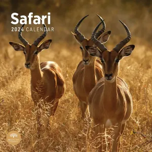Safari 2024 Wall Calendar #923157