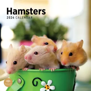 Hamsters 2024 Wall Calendar #923466
