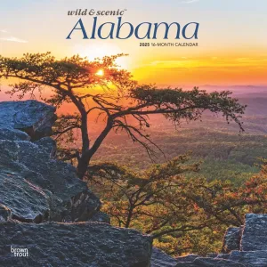 Alabama Wild and Scenic 2025 Wall Calendar