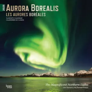 Aurora Borealis 2025 Wall Calendar