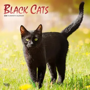 Black Cats 2025 Wall Calendar #1312110