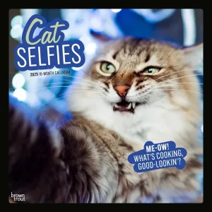 Cat Selfies 2025 Wall Calendar