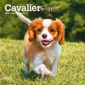 Cavalier King Charles Puppies 2025 Mini Wall Calendar