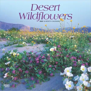 Desert Wildflowers 2025 Wall Calendar
