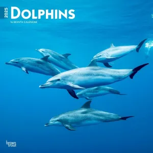 Dolphins 2025 Wall Calendar