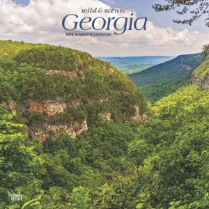 Georgia Wild and Scenic 2025 Wall Calendar