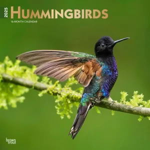 Hummingbirds 2025 Wall Calendar #1338827