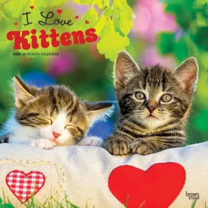 I Love Kittens 2025 Wall Calendar
