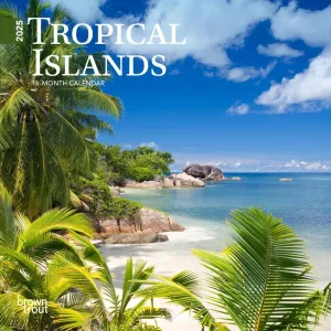 Islands Tropical 2025 Mini Wall Calendar