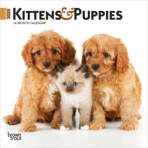Kittens and Puppies 2025 Mini Wall Calendar