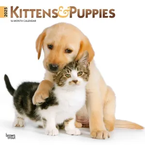 Kittens and Puppies 2025 Wall Calendar