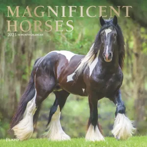 Magnificent Horses Plato 2025 Wall Calendar