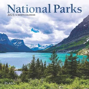National Parks Foil 2025 Mini Wall Calendar