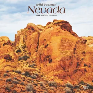 Nevada Wild and Scenic 2025 Wall Calendar