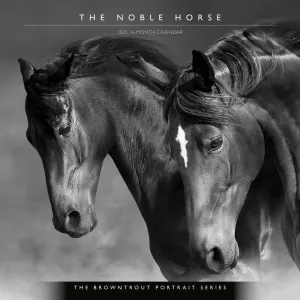 Noble Horses Portrait Series 2025 Wall Calendar