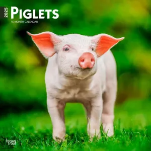 Piglets 2025 Wall Calendar