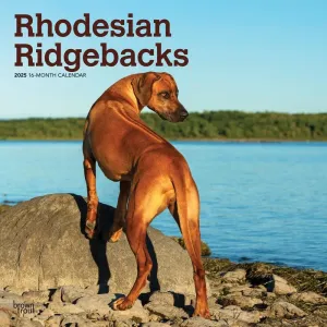 Rhodesian Ridgebacks 2025 Wall Calendar