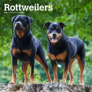 Rottweilers 2025 Wall Calendar #1340003