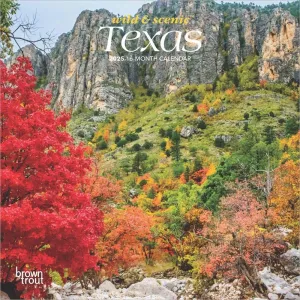 Texas 2025 Mini Wall Calendar
