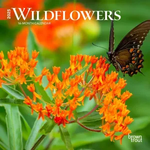 Wildflowers 2025 Mini Wall Calendar