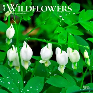 Wildflowers 2025 Wall Calendar