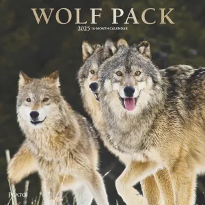 Wolf Pack by Plato Foil 2025 Wall Calendar