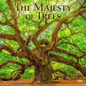 Worlds Greatest Trees 2025 Wall Calendar