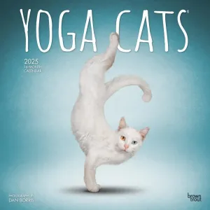 Yoga Cats 2025 Wall Calendar