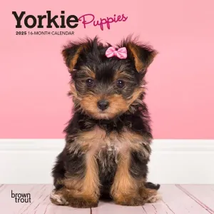 Yorkshire Terrier Puppies 2025 Mini Wall Calendar