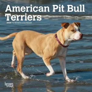 American Pit Bull Terriers 2024 Mini Wall Calendar