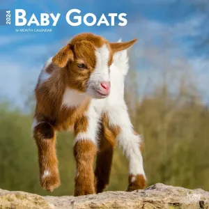 Baby Goats 2024 Wall Calendar #951492