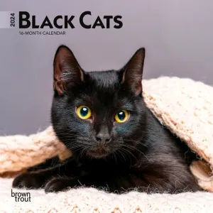 Black Cats 2024 Mini Wall Calendar #950488