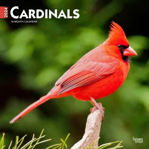 Cardinals 2024 Wall Calendar #953074