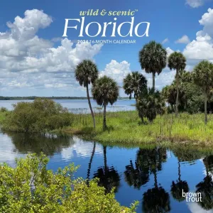 Florida 2024 Mini Wall Calendar