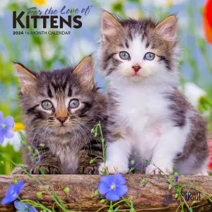 For the Love of Kittens 2024 Mini Wall Calendar #952876