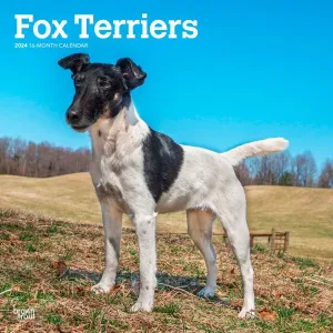Fox Terriers 2024 Wall Calendar