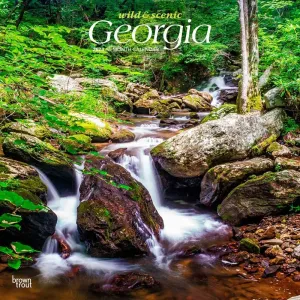 Georgia Wild and Scenic 2024 Wall Calendar
