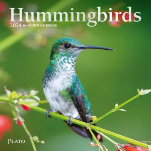 Hummingbirds 2024 Mini Wall Calendar #952862