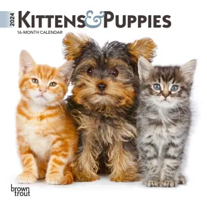 Kittens & Puppies 2024 Mini Wall Calendar #952684