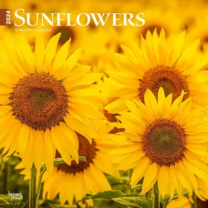 Sunflowers 2024 Wall Calendar #953040