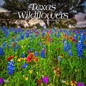 Texas Wildflowers 2024 Wall Calendar #952778