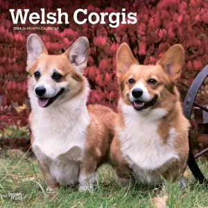 Welsh Corgis 2024 Wall Calendar