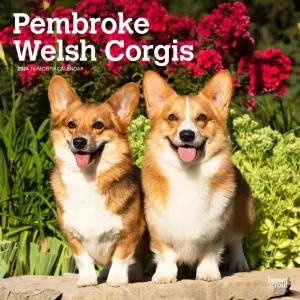 Welsh Corgis Pembroke 2024 Wall Calendar
