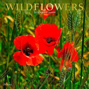 Wildflowers 2024 Wall Calendar #953028